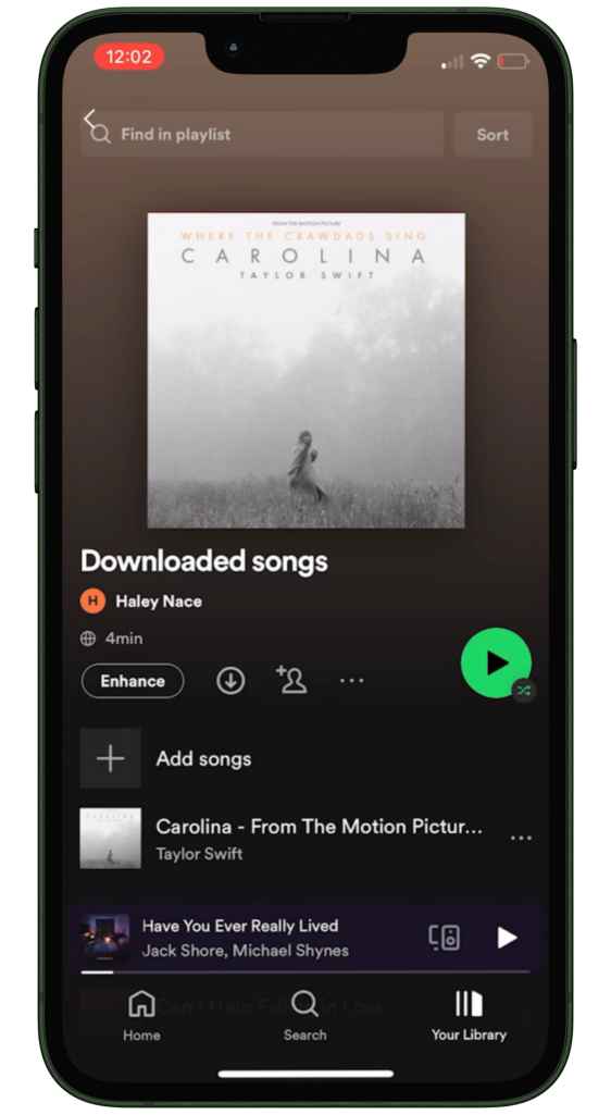 Spotify Screenshot 1