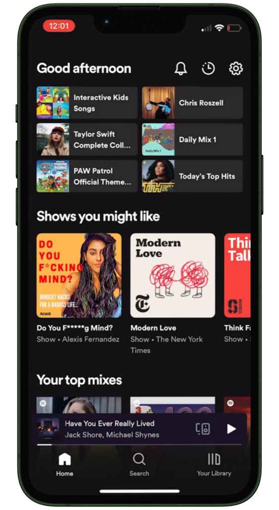 Spotify Screenshot 3