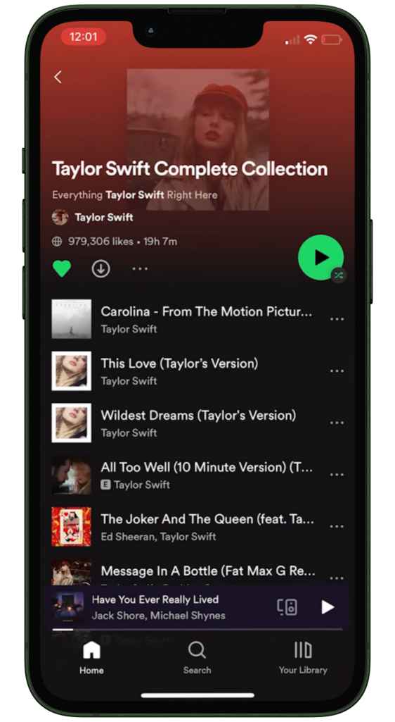 Spotify Screenshot 4